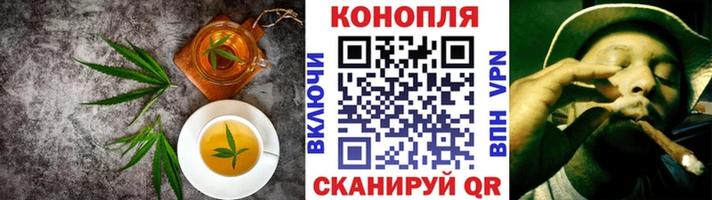 Canna-Cookies марихуана Сурск