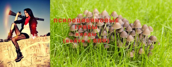 кокаин Надым